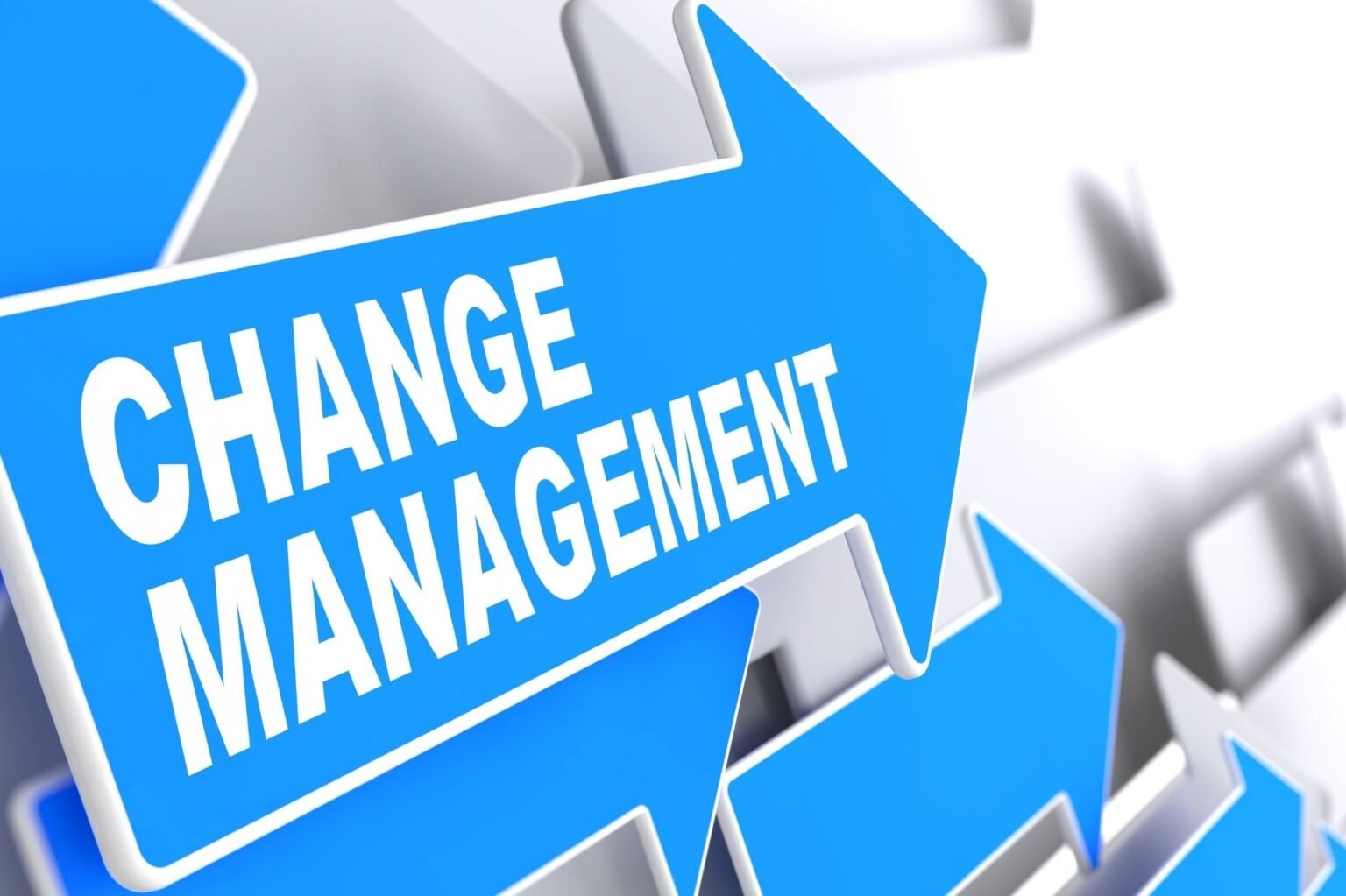 7 steps of change management